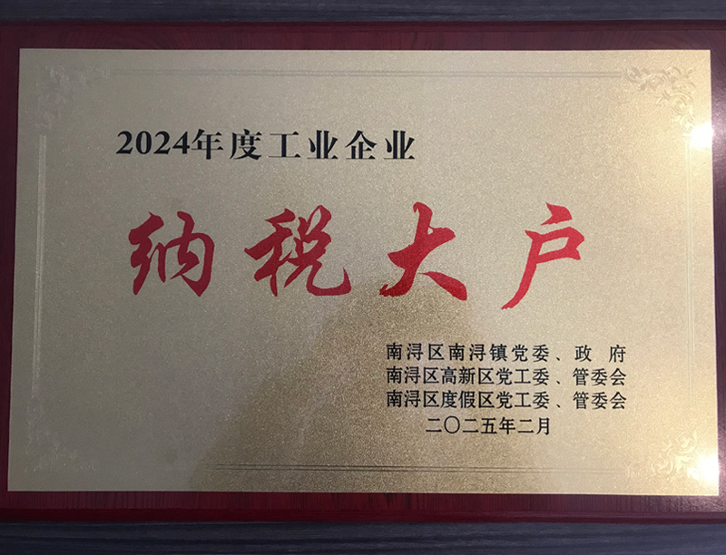 Big taxpayer in 2024